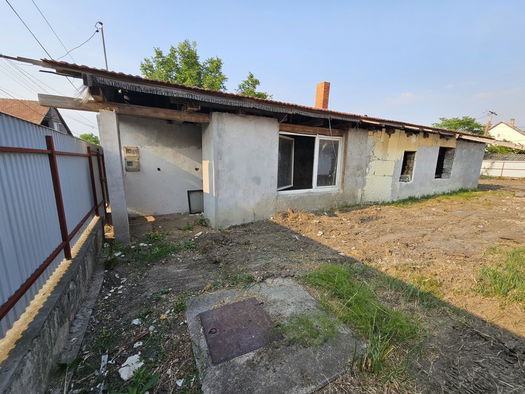 Small Image 1
