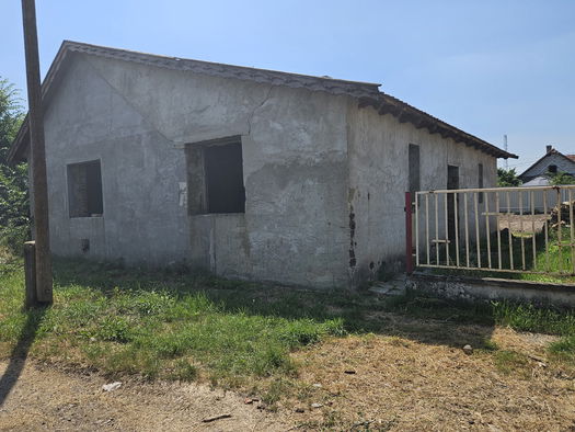 Small Image 1