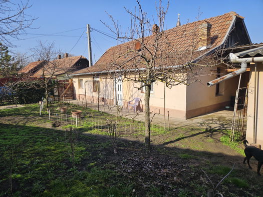 Small Image 1