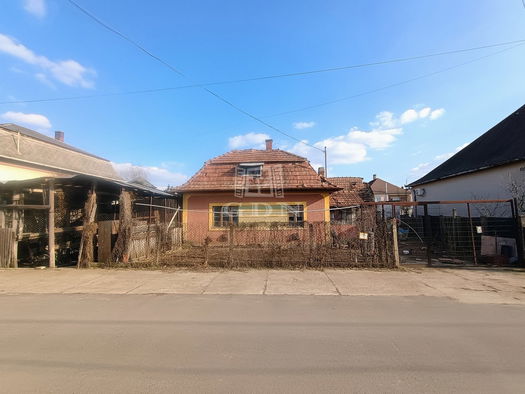 Small Image 1