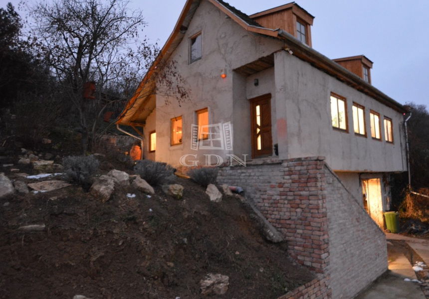 Main Image