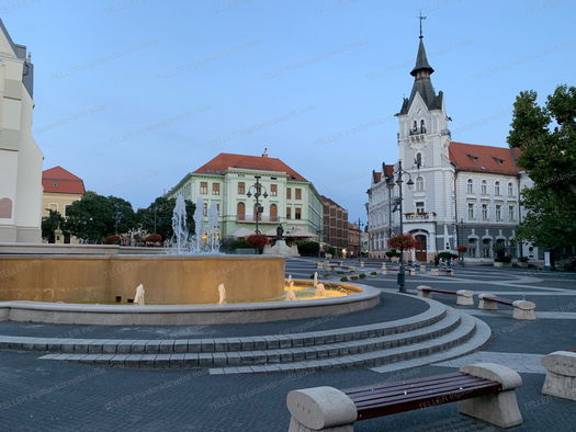 Small Image 2