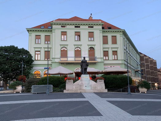 Small Image 1