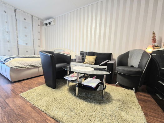 Small Image 1