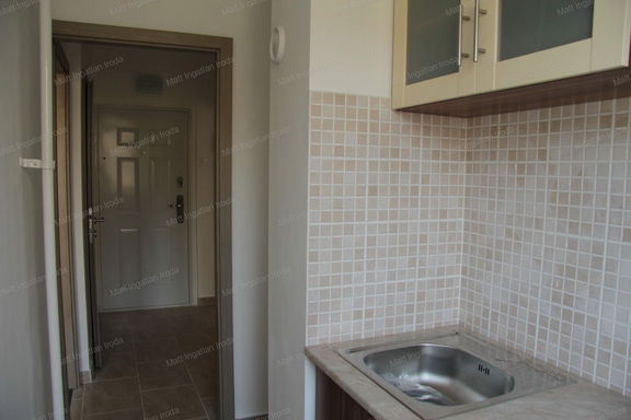 Small Image 1